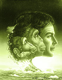 20060320213258-evolucion.jpg